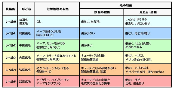 損傷度・呼び名・化学処理の有無・毛の状態