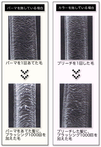 パーマやカラーをしている髪をブラッシングした場合