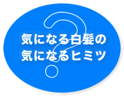 気になる白髪の気になるヒミツ