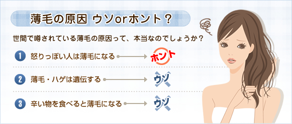 薄毛の原因ウソorホント?