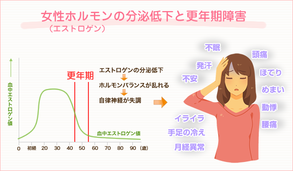 女性ホルモンの分泌低下と更年期障害