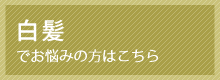 白髪でお悩みの方