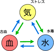 気・血・水の関係