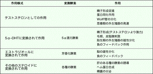 フィナステリドの働きと作用様式